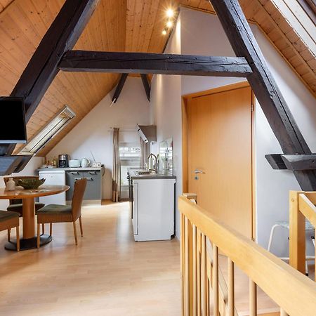 Ferienwohnung An Der Brigach Donaueschingen Ngoại thất bức ảnh