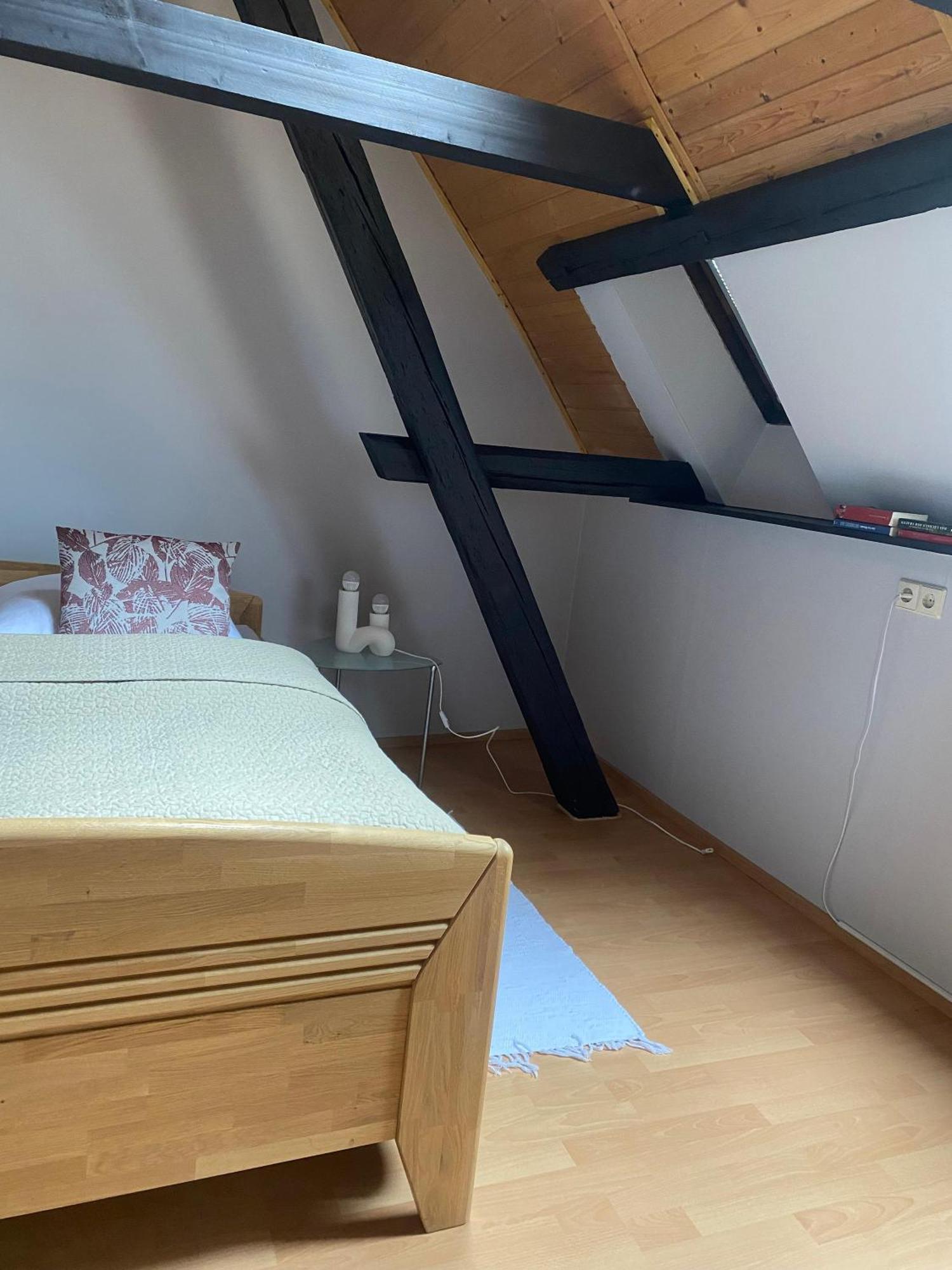Ferienwohnung An Der Brigach Donaueschingen Ngoại thất bức ảnh