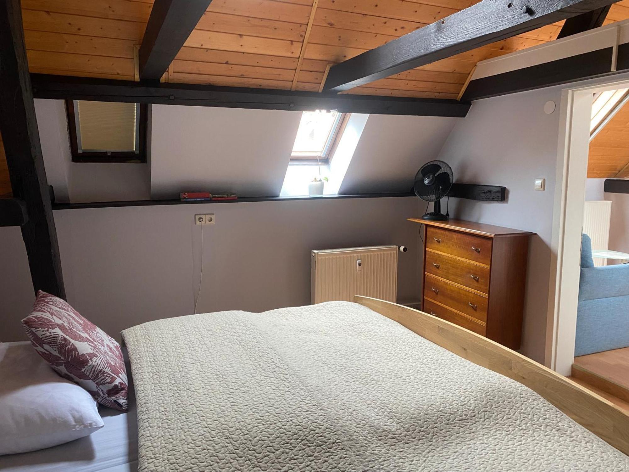 Ferienwohnung An Der Brigach Donaueschingen Ngoại thất bức ảnh