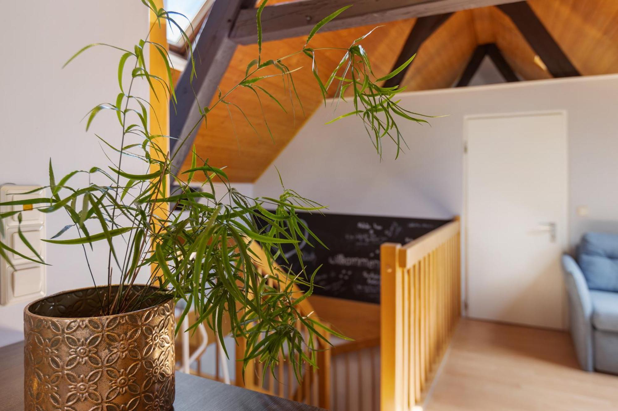 Ferienwohnung An Der Brigach Donaueschingen Ngoại thất bức ảnh